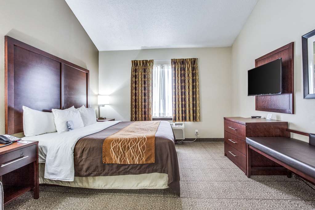 Comfort Inn & Suites Love Field Dallas Market Center - photo 18
