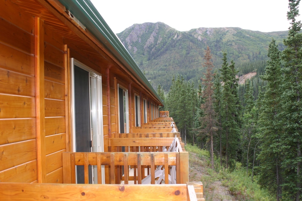 Denali Grizzly Bear Resort - photo 25