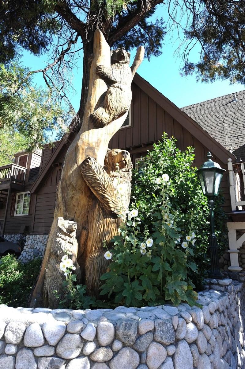 Saddleback Inn at Lake Arrowhead - photo 5