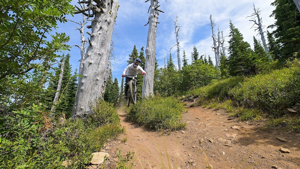 Schweitzer Mountain Resort Selkirk Lodge - photo 33