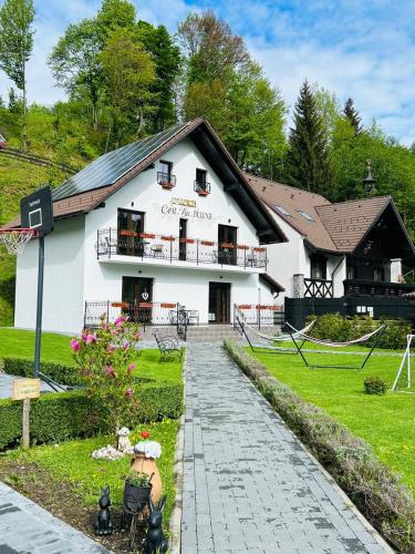 Colt Viu Deluxe in Bran, Romania