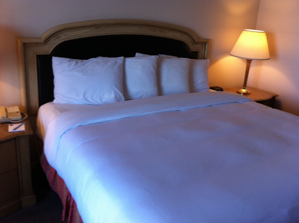 Airport Inn Hotel - photo 11