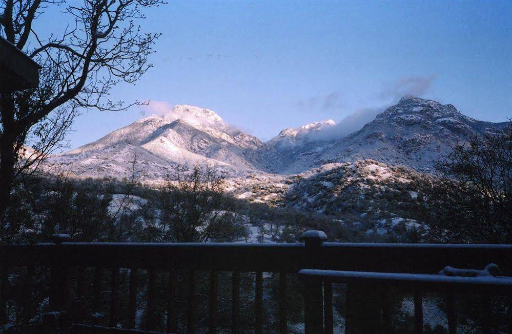 Bellevue Guesthouse - photo 3