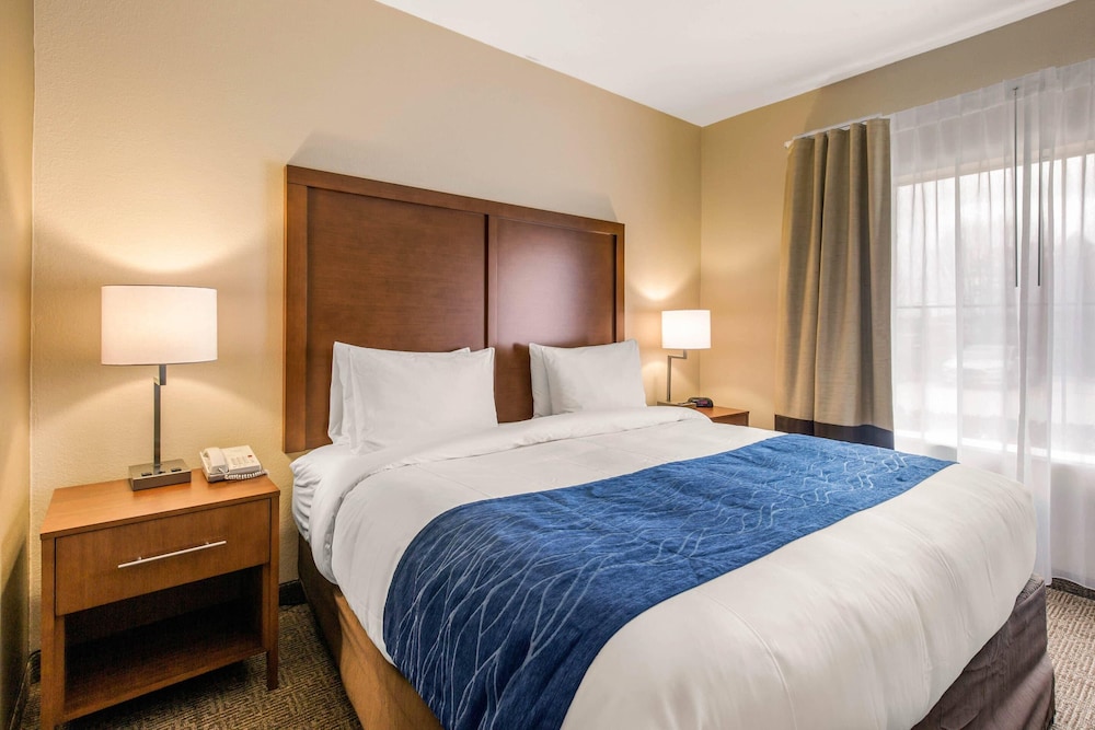 Comfort Inn & Suites IAH Bush Airport East - photo 7