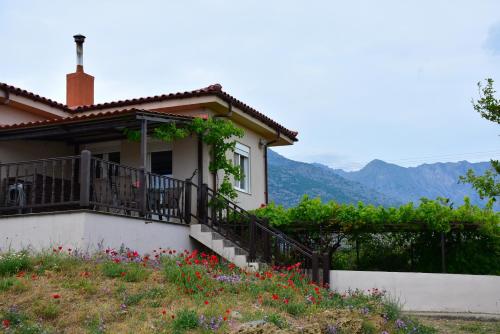 Villa Thanos — Samothraki — photo 4