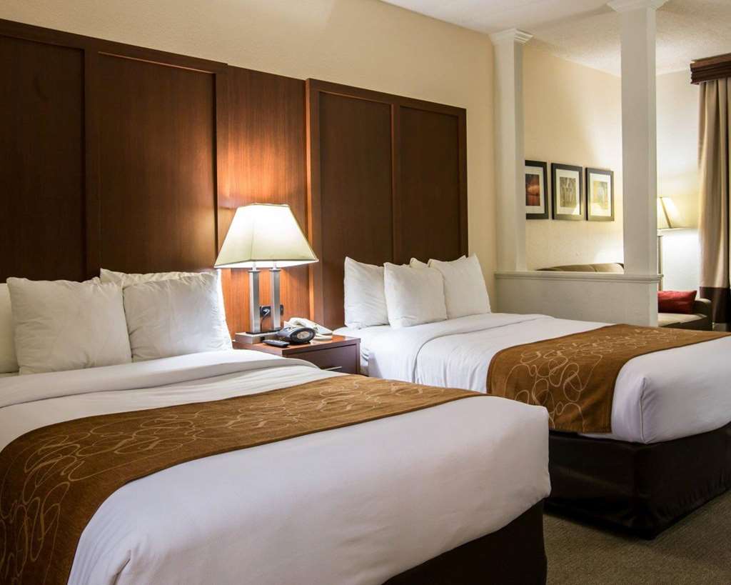 Comfort Suites Cumming Atlanta near Northside Hospital Forsyth - photo 10