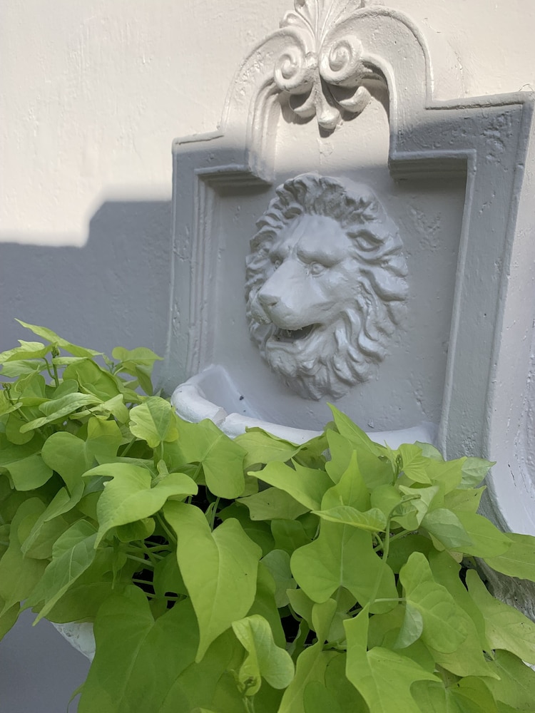 Tiana Beach Inn - photo 40