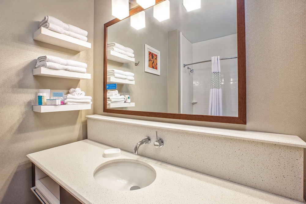 Hampton Inn Hotel Detroit Belleville Airport Area - photo 15