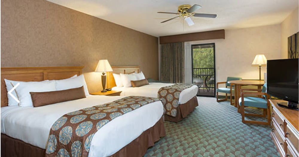 Borrego Springs Resort & Spa - photo 8