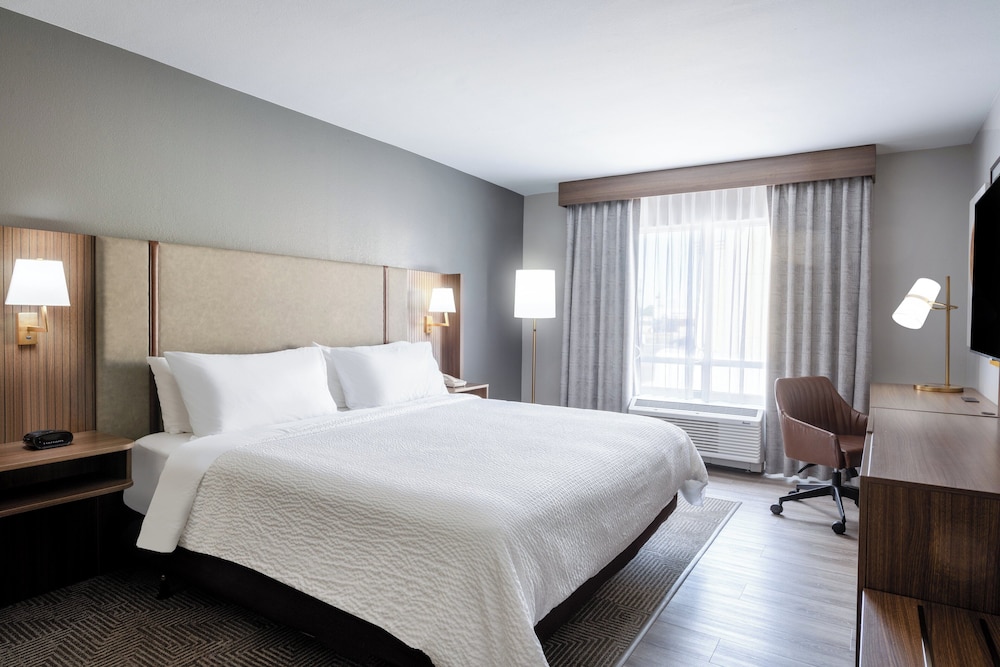 Holiday Inn Blytheville by IHG - photo 14