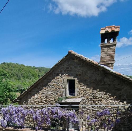 Tenuta La Scure La Cappella — Cortona