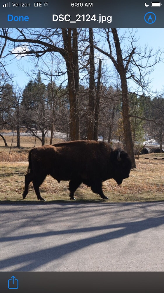Black Elk Resort Cottages and RV Park - photo 70