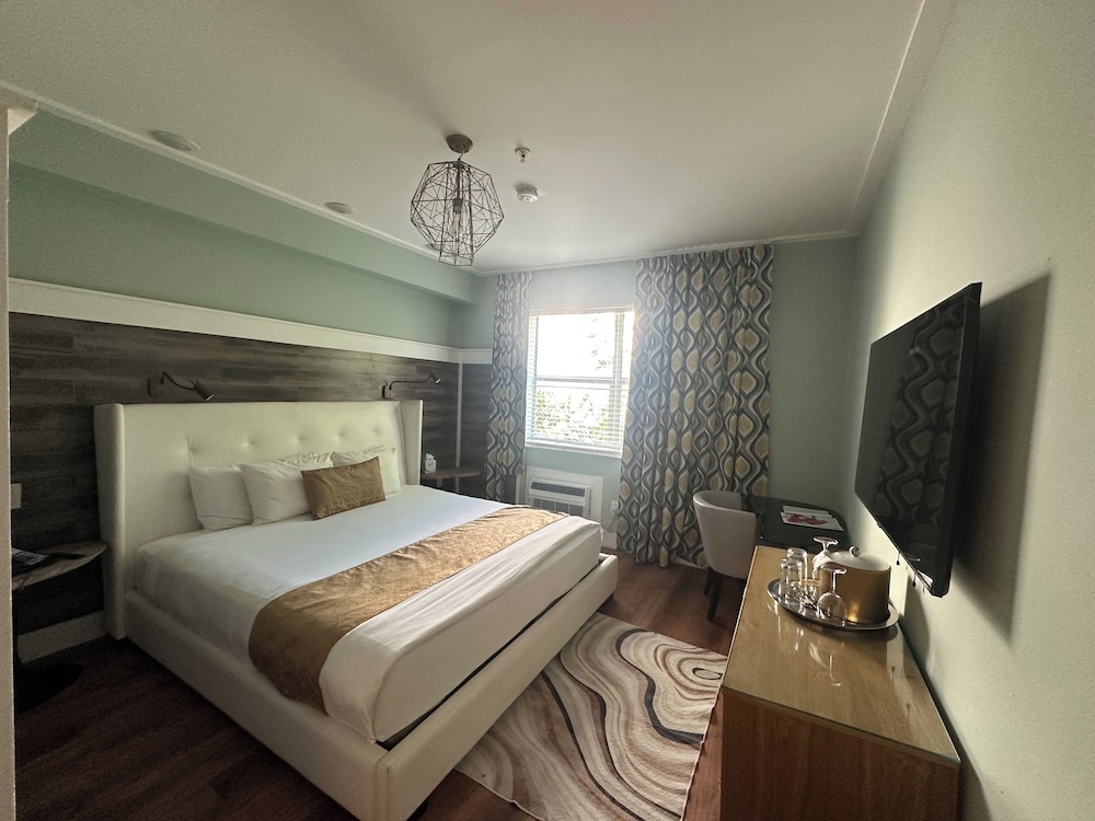 Dorset Hotel - photo 23