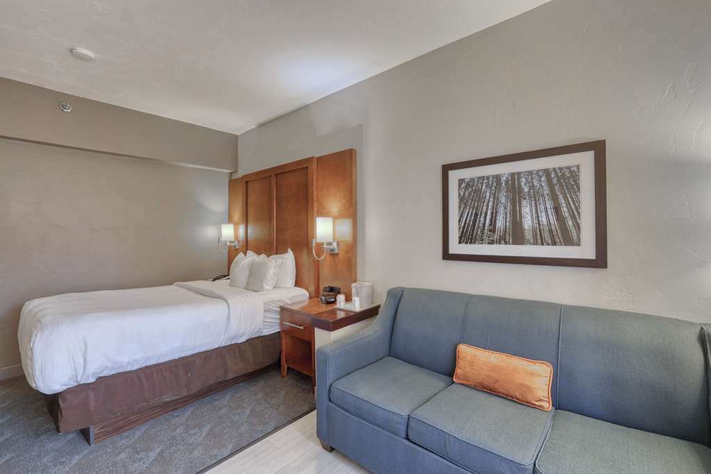 Comfort Suites Appleton Airport - photo 54