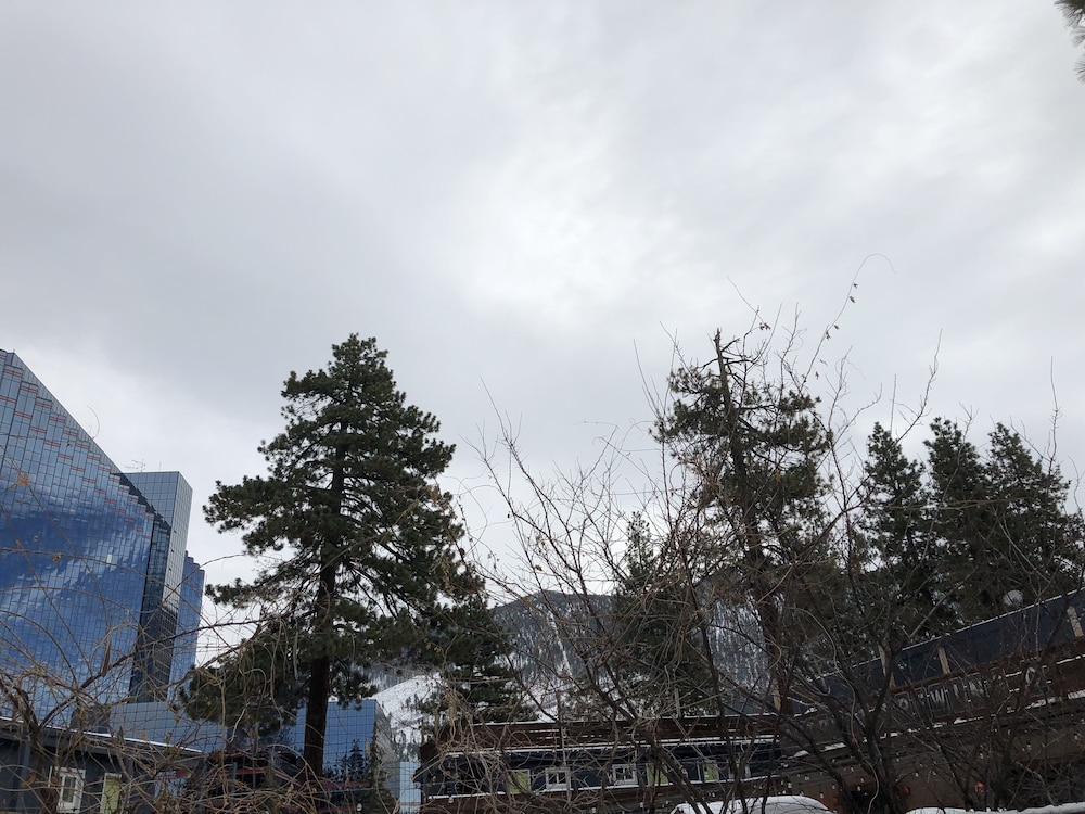 Alpine Inn and Spa - photo 40