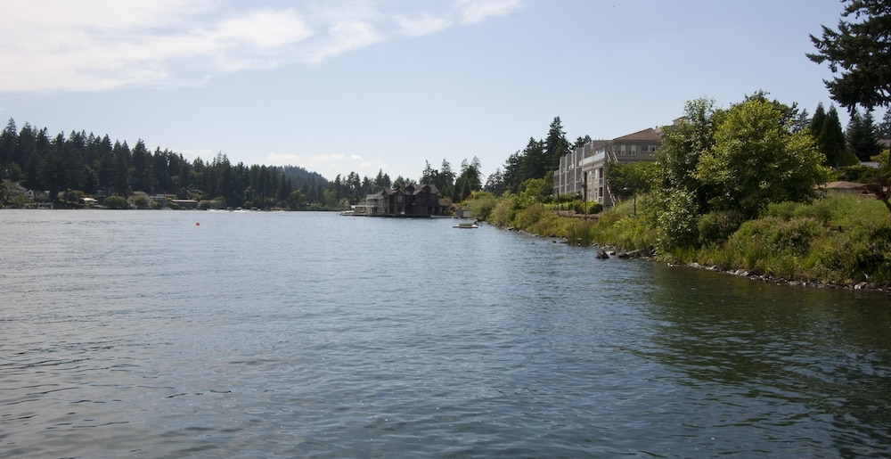 Lakeshore Inn - photo 39