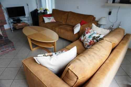 Kustverhuur Park Schoneveld Zeester 66 — 4-Star Luxury Hotel in Breskens, Netherlands