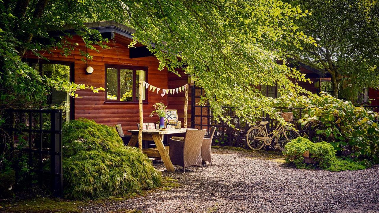 Lochend Chalets - carbon neutral hotel in Stirling