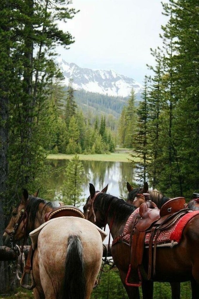 Fish Creek House Bed & Breakfast - photo 22