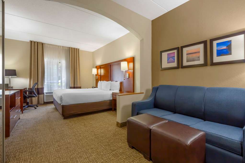 Comfort Suites Regency Park - photo 21