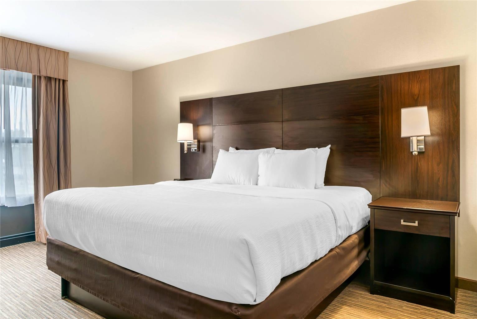 Quality Inn & Suites Monroe - photo 32