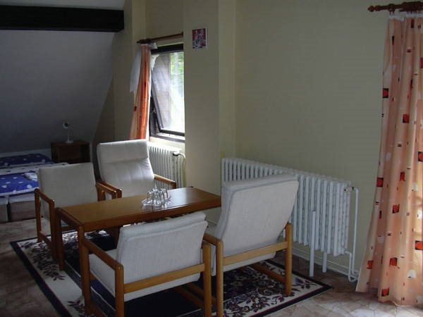 Hotel Andromeda — Horni Branna — photo 3
