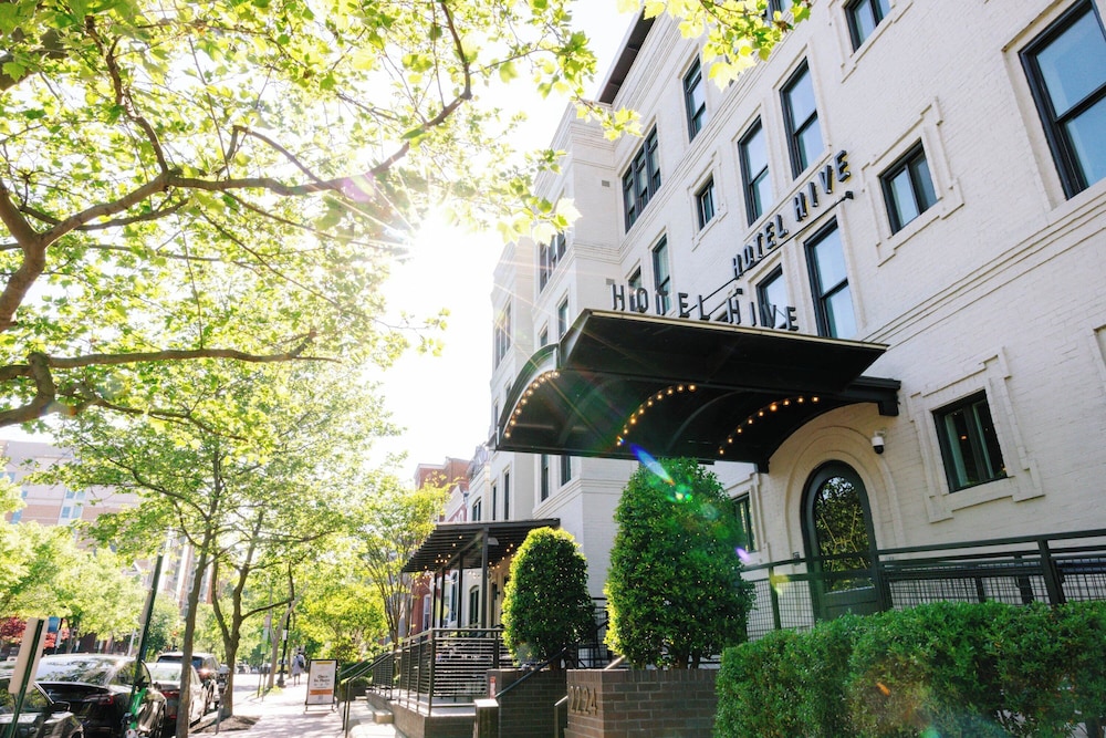 Hotel Hive - photo 115