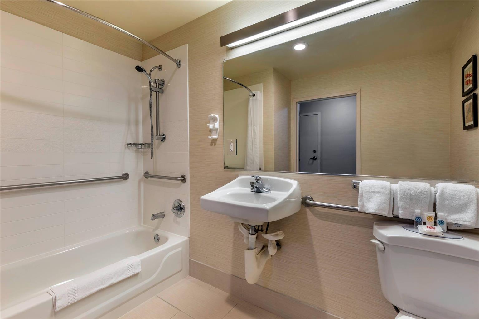 Comfort Inn & Suites North Dallas Addison - photo 8