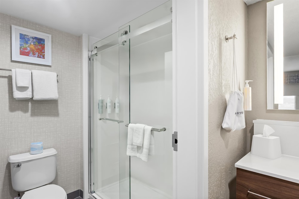 Hampton Inn & Suites Bolingbrook - photo 33