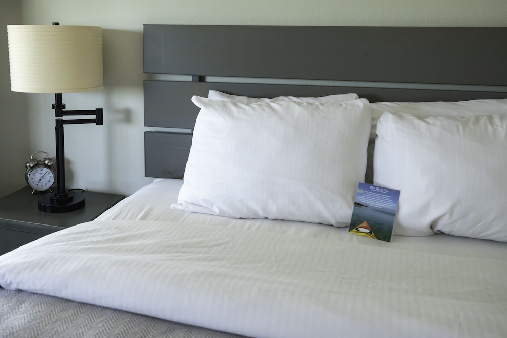 Brio Beach Inn - photo 9