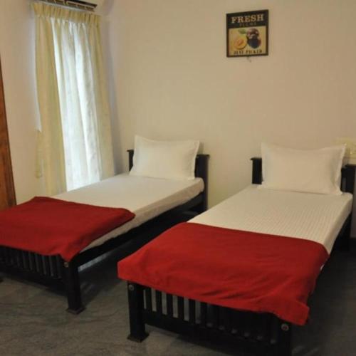 Banyan Tree Homestay