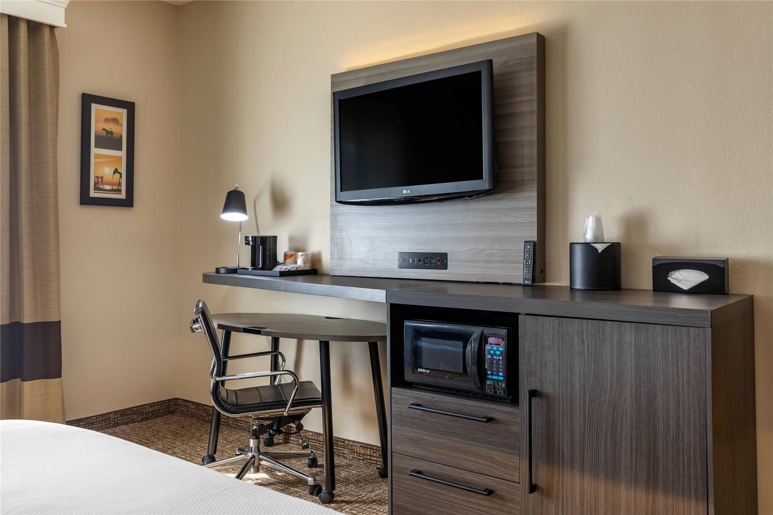 Comfort Inn & Suites North Dallas Addison - photo 17