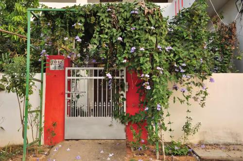 Kelly cottages — Warangal — photo 2