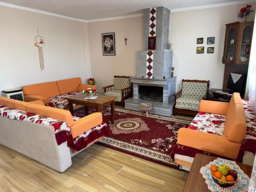 Among cherries & Village in Unknown City, Albania