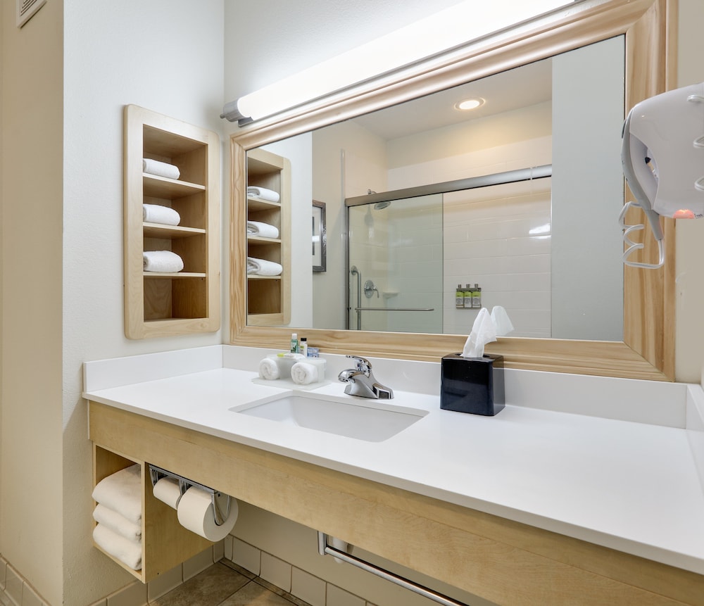 Holiday Inn Express & Suites San Antonio Brooks City Base by IHG - photo 15