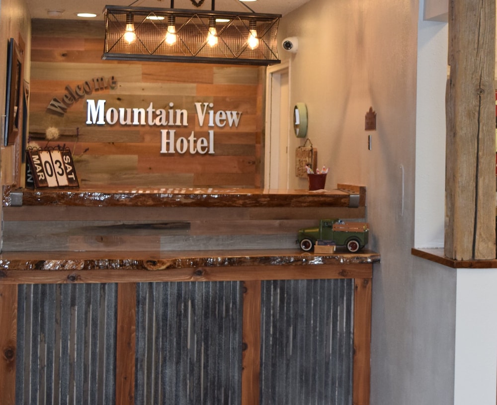 Mountain View Hotel - photo 3