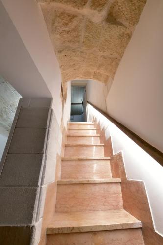 Ginnasio 35 — Monopoli — photo 5