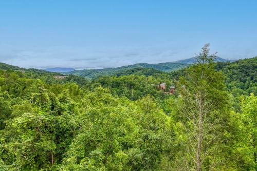 Lazy Bear Lodge Hot Tub Resort Pool WIFI 1089 FREE tickets each paid day Dollywood and More - photo 48