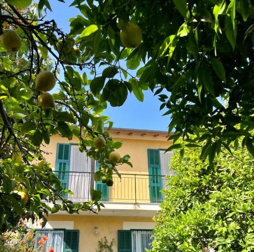 Appartamento Iside — 4-Star Luxury Hotel in Vallecrosia, Italy