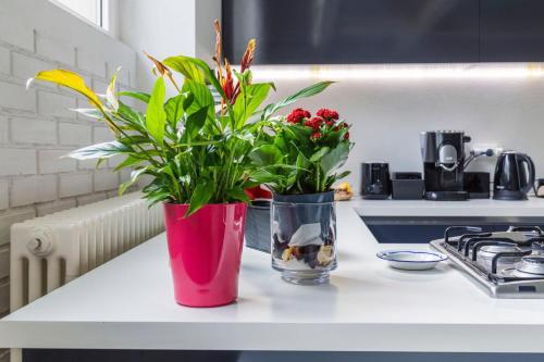 Glass Loft in Milan, Italy