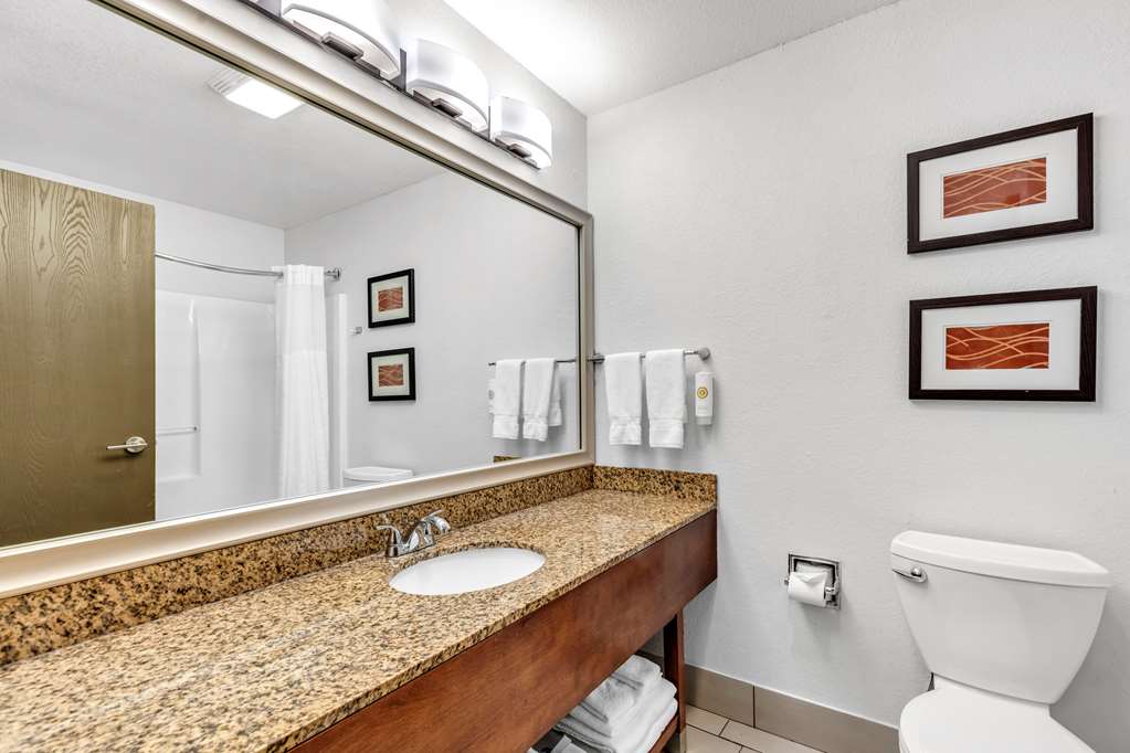 Comfort Inn Denver West Arvada Station - photo 36