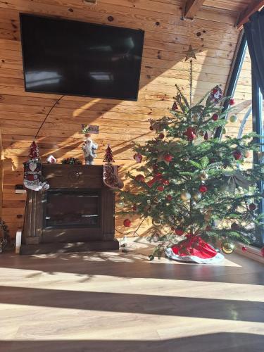 Casuta mea - carbon neutral hotel in Stulpicani