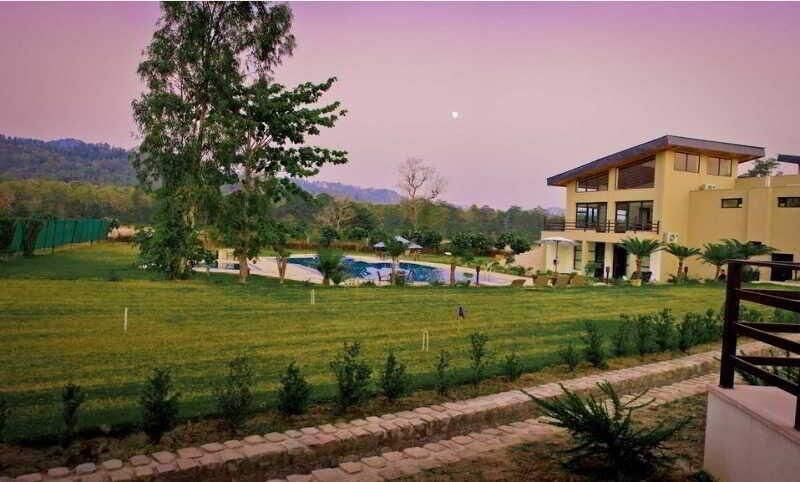 Golden Tusk in Ramnagar, India