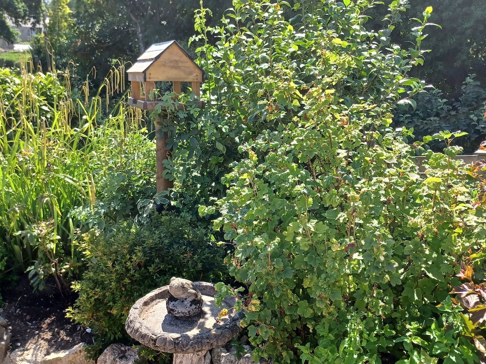 Woodbine Cottage — 4-Star Luxury Hotel in Falmouth, United Kingdom