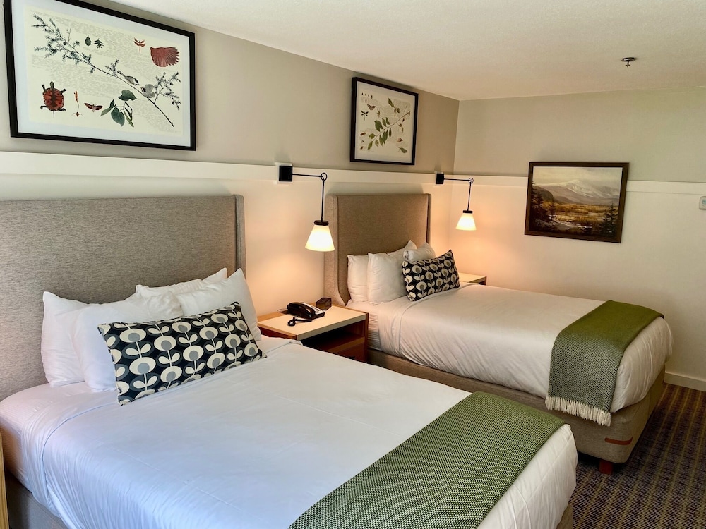 The White Mountain Hotel & Resort - photo 9