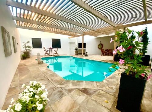 Dolphin Beach Summer Place in Unknown City, Namibia