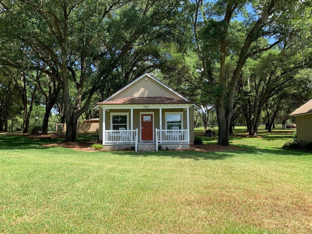 The Grand Oaks Resort - photo 25
