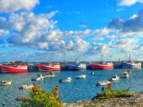 Le Vieux Port Vue Mer — Roscoff