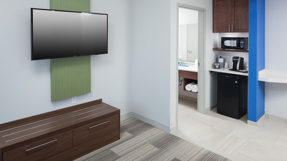 Holiday Inn Express & Suites Orlando at SeaWorld by IHG - photo 22