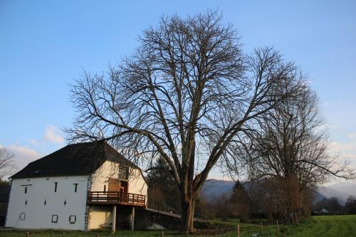 Grange Kanderatzea - last minute hotel in Unknown City